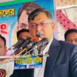 এমন সংসদ চাই, যেখানে প্রশংসার স্মৃতিবাক্য বা নৃত্যগীত হবে না : সালাহউদ্দিন আহমেদ